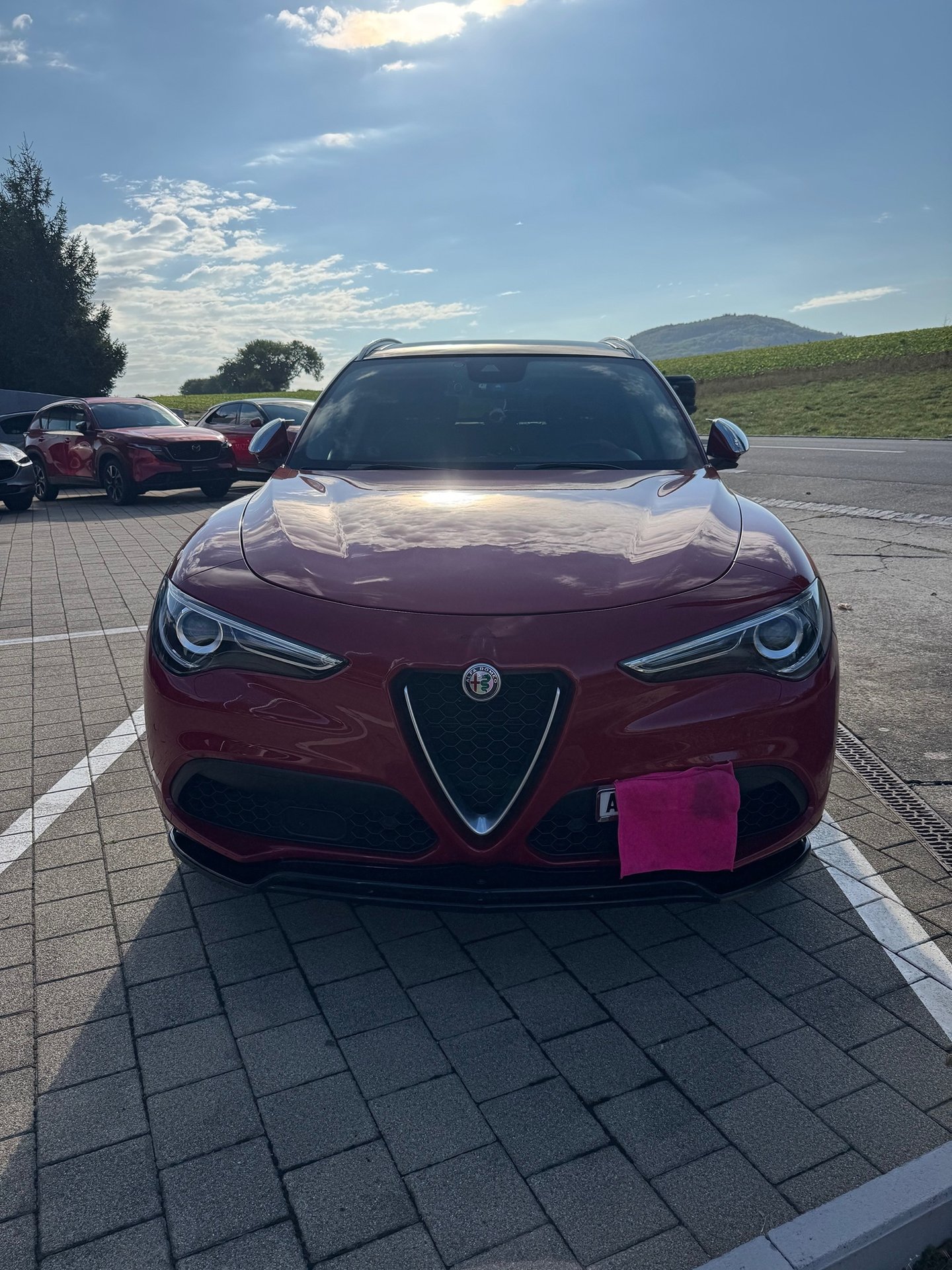 ALFA ROMEO Alfa-Romeo Stelvio 2.0 Q4