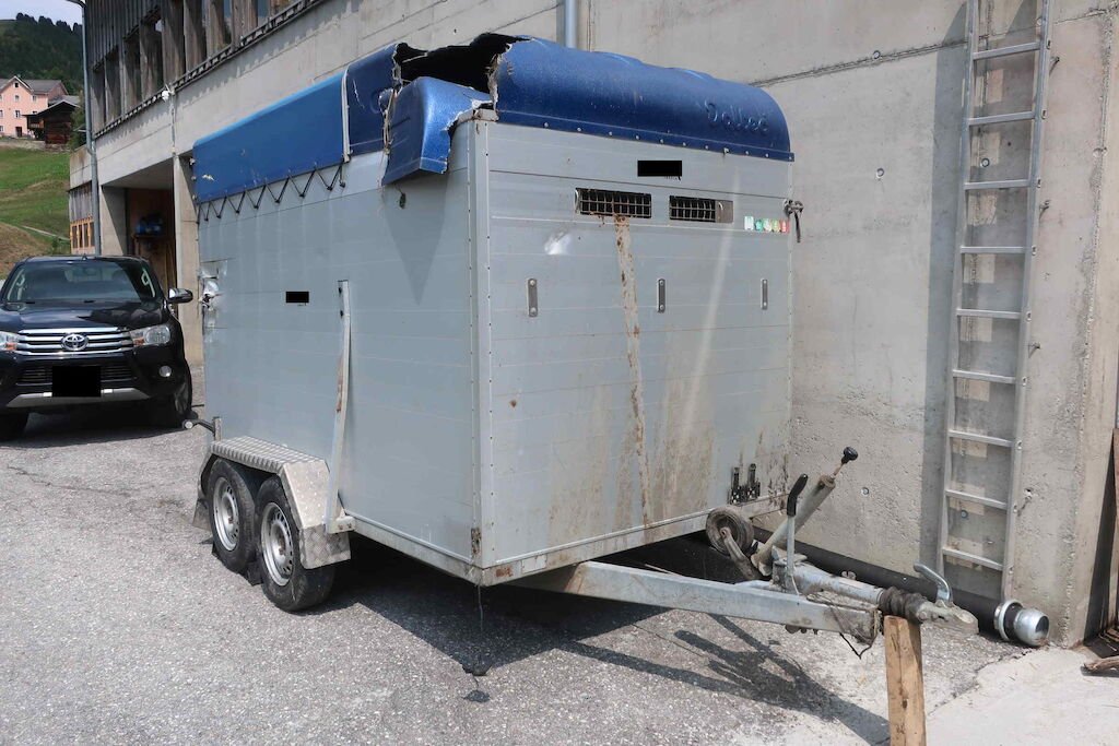 DALTEC CARGO 25