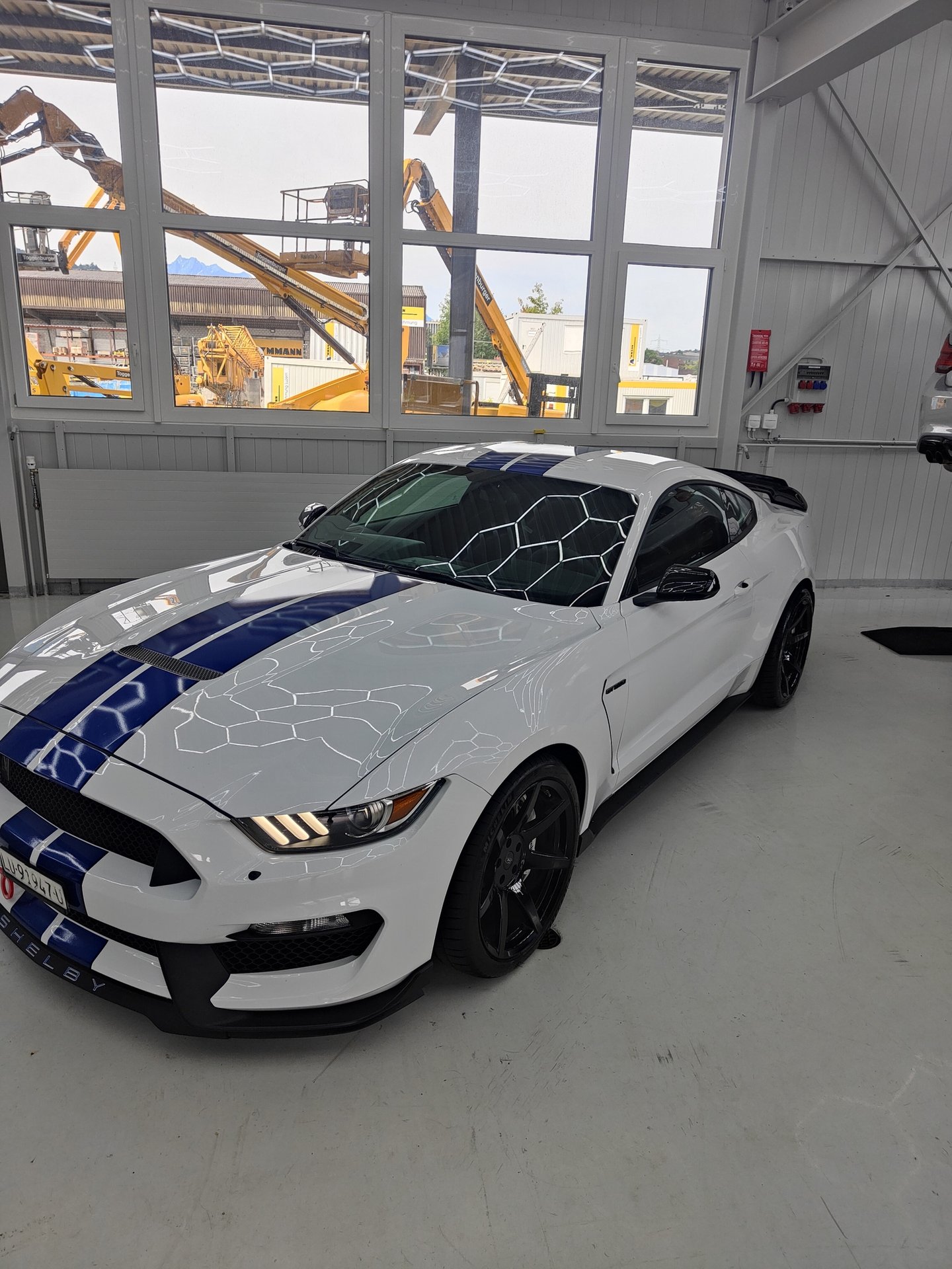 FORD Mustang Shelby GT 350