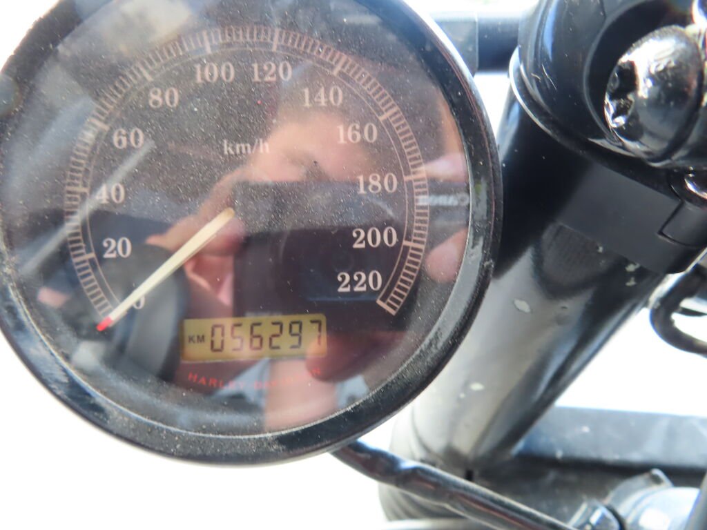Harley Davidson XL 883N SPORTSTER IRON