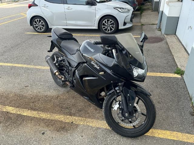 Kawasaki Ninja 250 R R