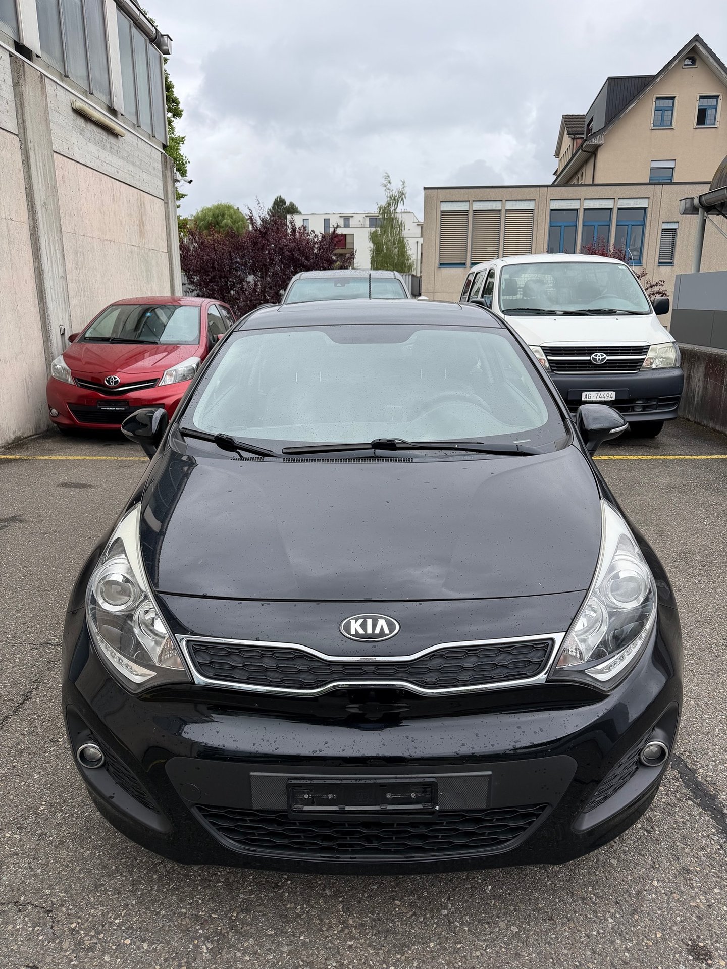 KIA Rio
