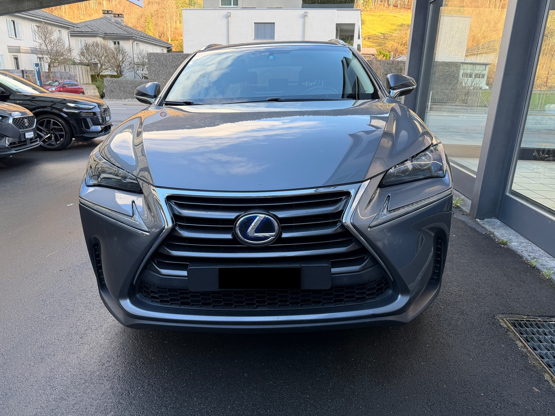 LEXUS NX300H