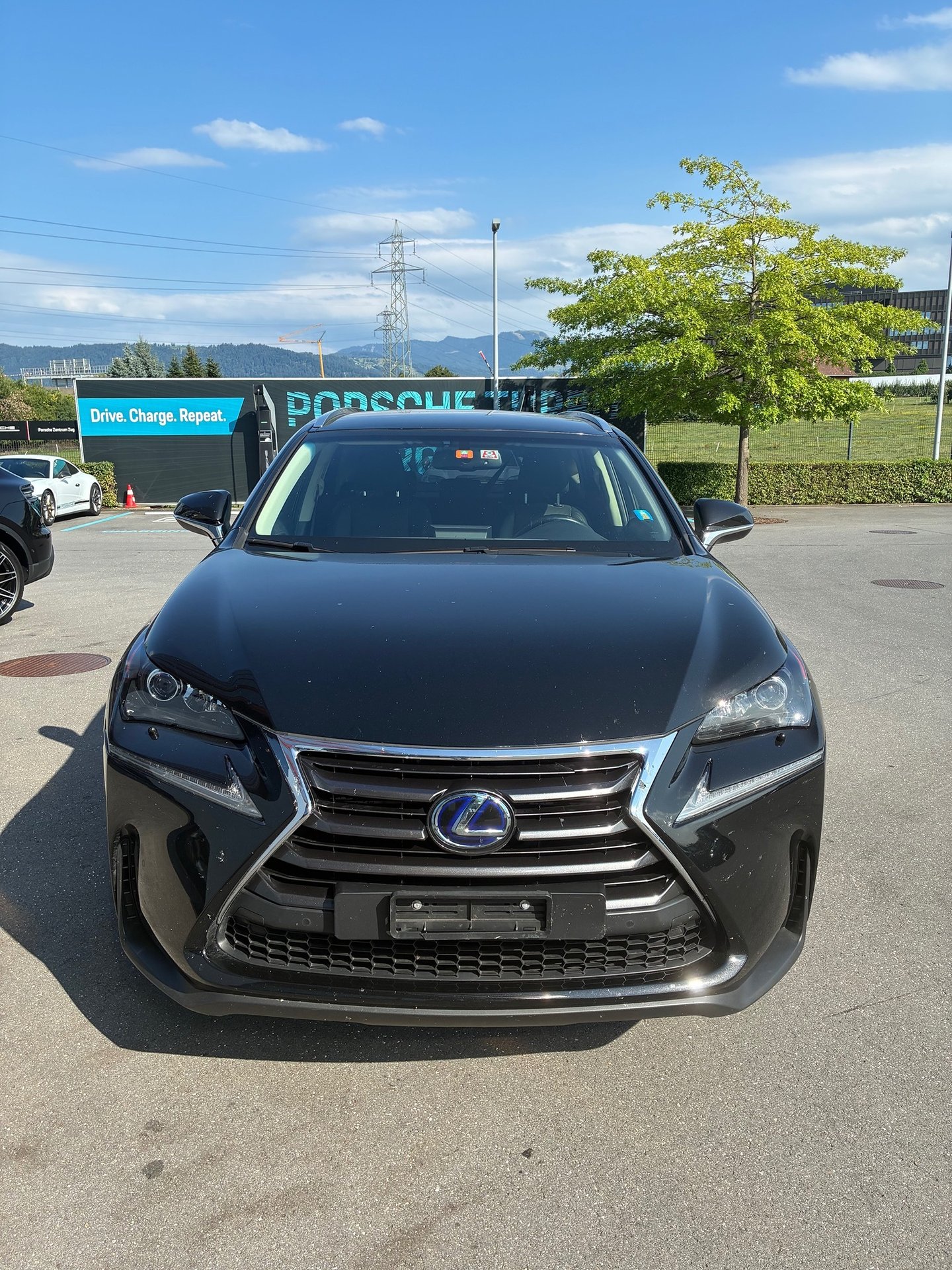 LEXUS NX300H