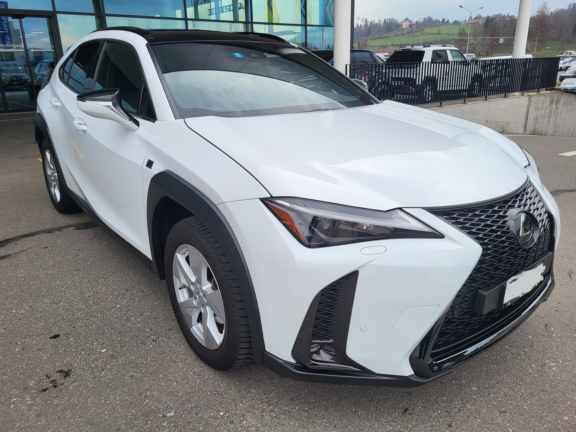 LEXUS UX250h F-Line 4WD