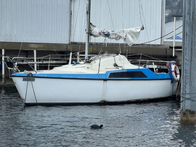 Mölnlycke Marine Maxi 77