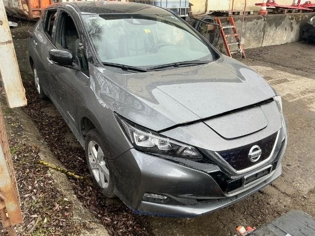 Nissan Leaf x