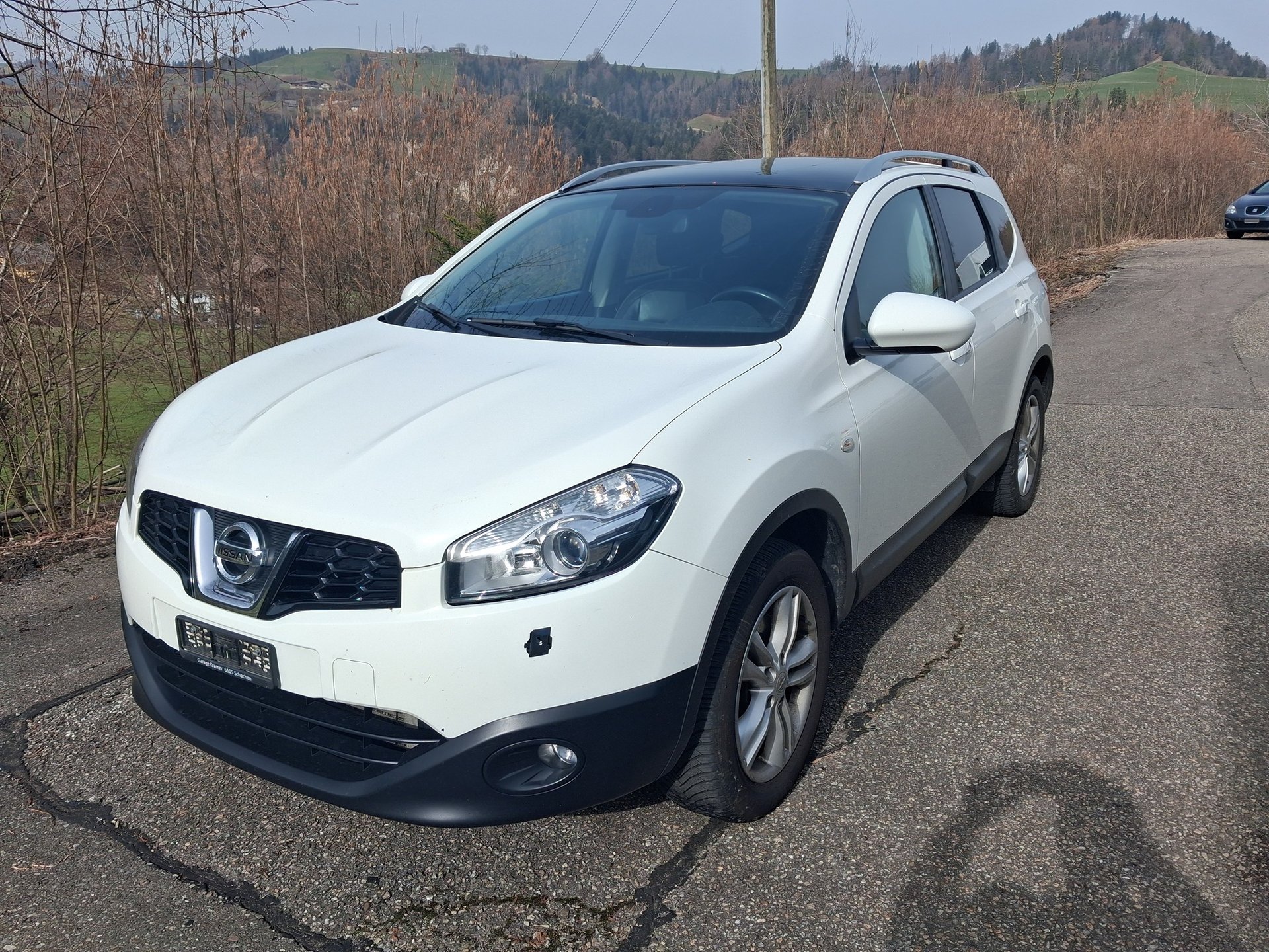 NISSAN Qashqai+2 4x4