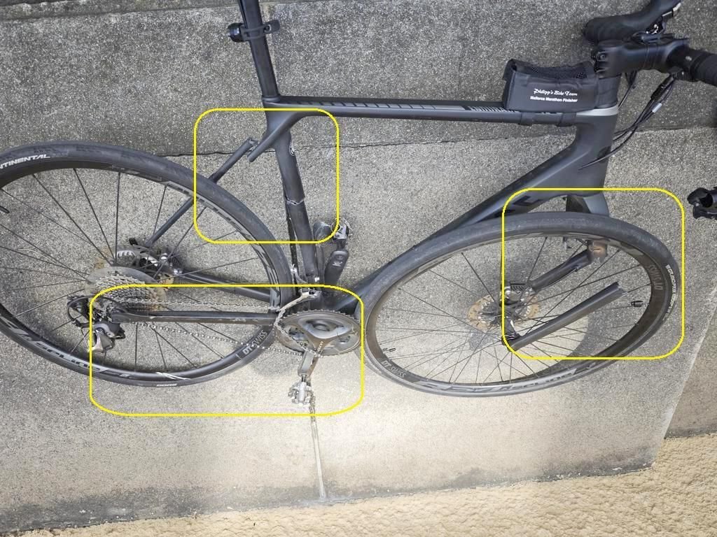 Rennrad Canyon Pure Cycling Endurace CF SL