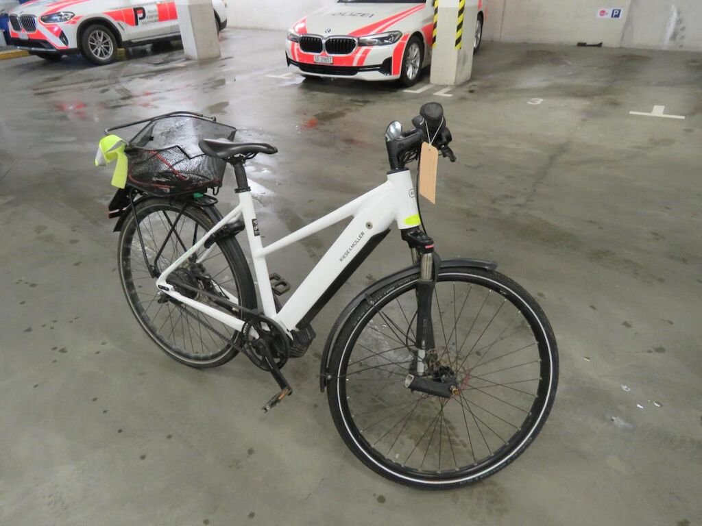 Riese & Müller Roadster Mixte vario HS