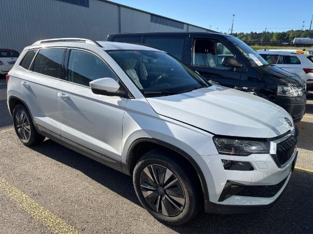 Skoda Karoq 2.0 TDI 4x4 DSG