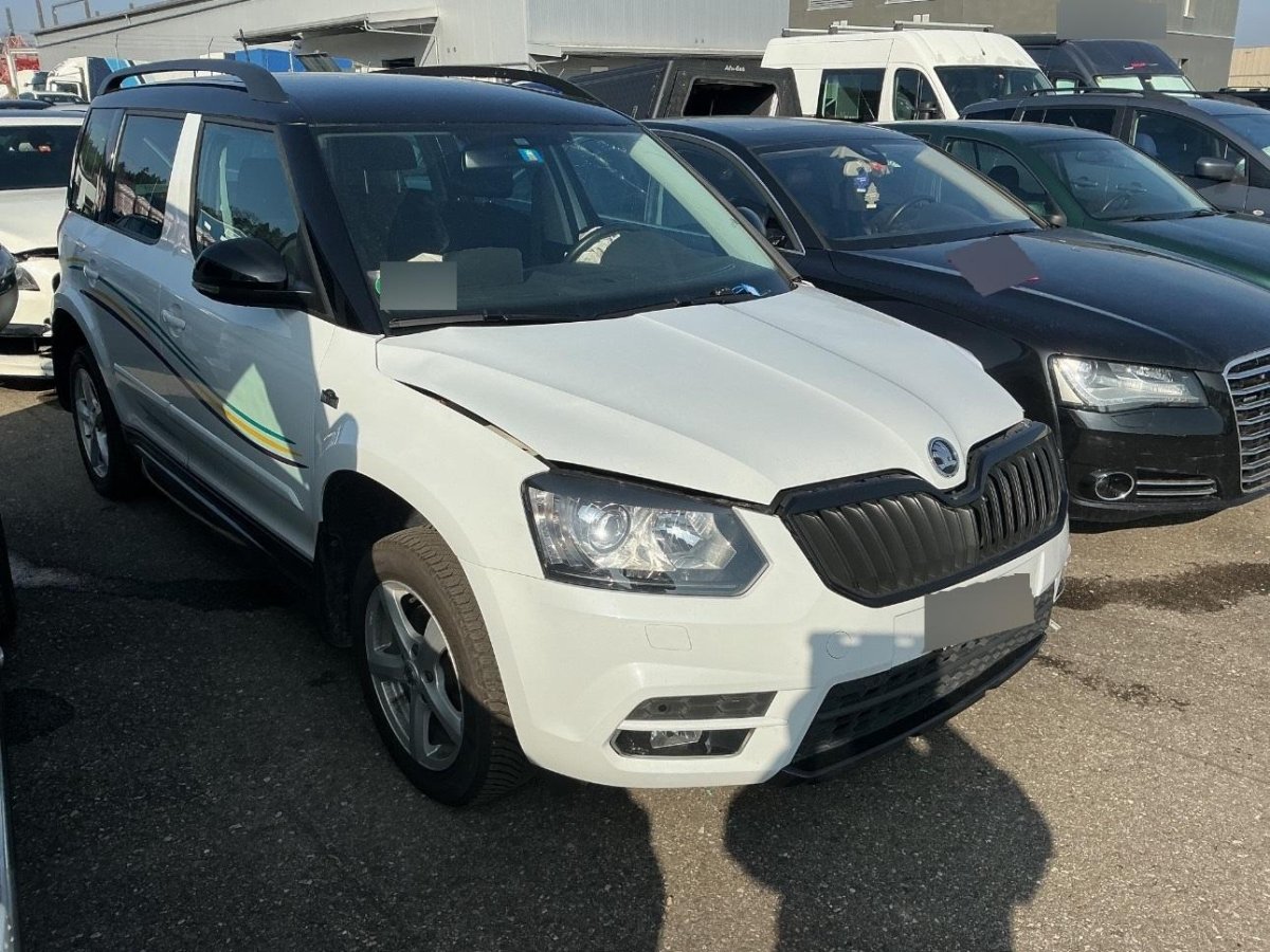 SKODA Yeti 1.8 TSI Monte Ca.4x4, 152 HP