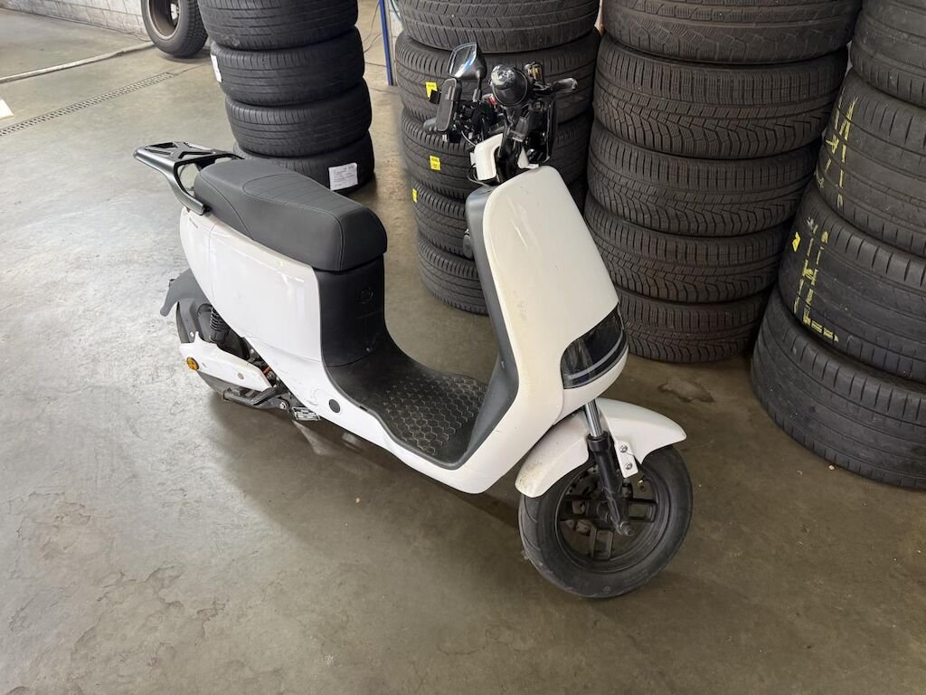 Taizhou Qianxin QX-L500A Elektroroller