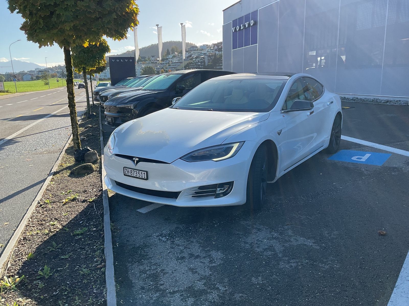 TESLA Model S 100 D P