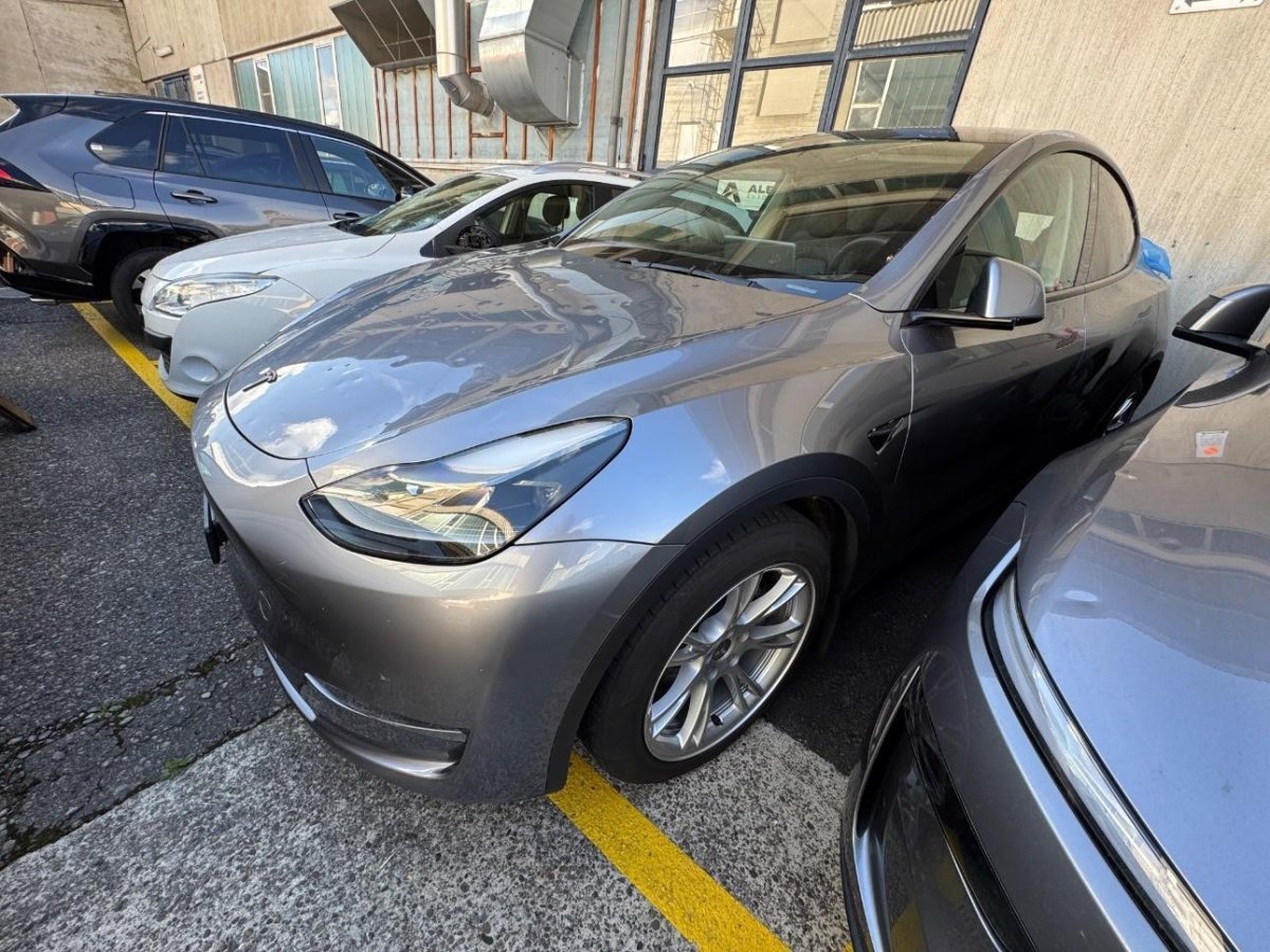 TESLA Model Y Long Range, 514 HP