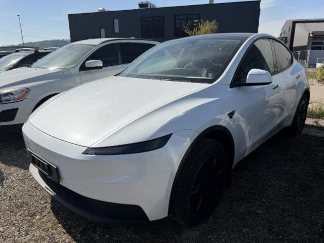 Tesla Model Y Standard