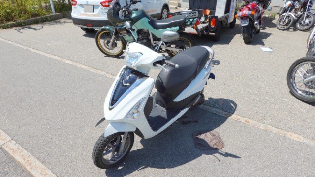 Yamaha D'elight LTS125-C Roller